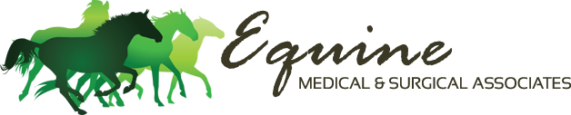 Eq Med Surg Assoc logo