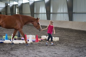 fabian - girl - get a horse ODS 7.11
